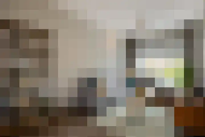 De Spinster 11 Boxtel thumbnail 4