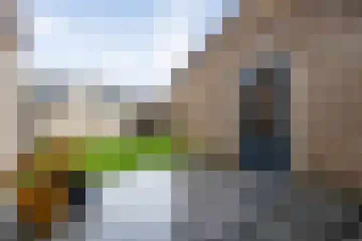 De Spinster 11 Boxtel thumbnail 43