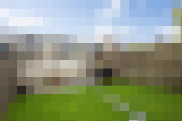 De Spinster 11 Boxtel thumbnail 45