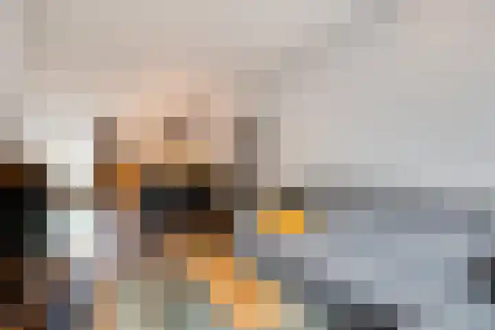 De Spinster 11 Boxtel thumbnail 5