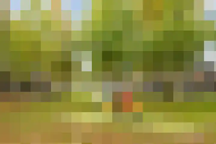 De Spinster 11 Boxtel thumbnail 54