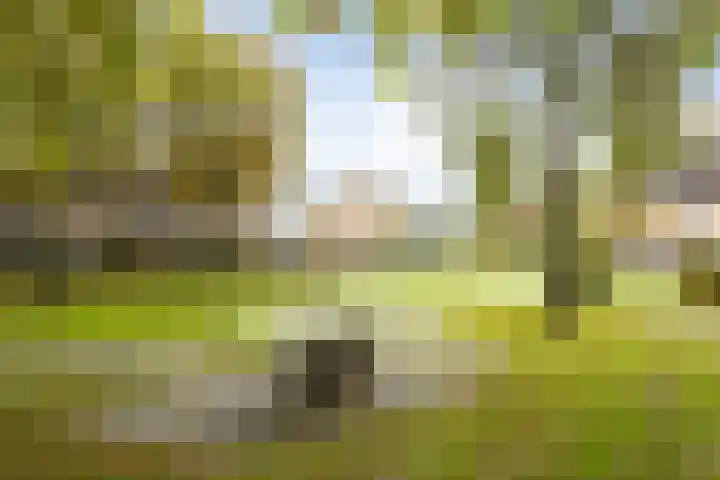 De Spinster 11 Boxtel thumbnail 55