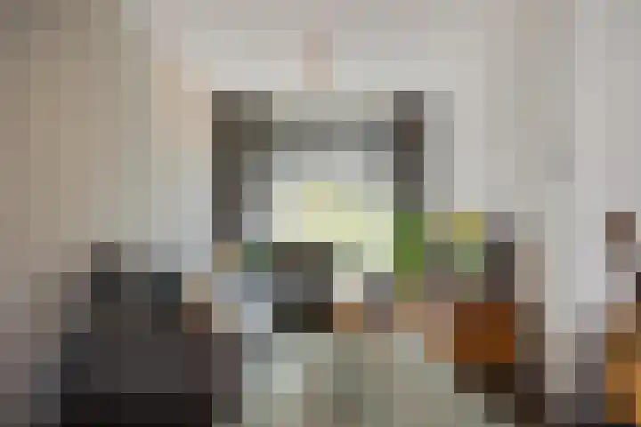 De Spinster 11 Boxtel thumbnail 6