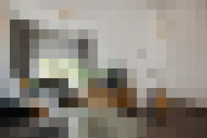 De Spinster 11 Boxtel thumbnail 7
