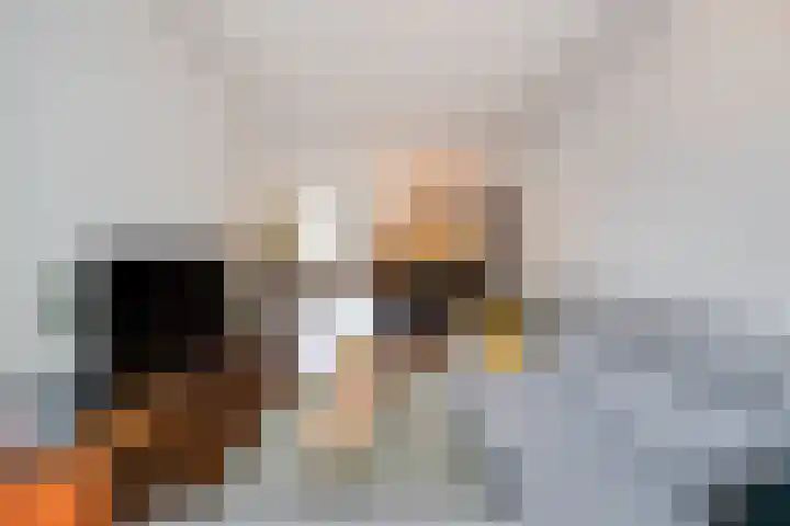 De Spinster 11 Boxtel thumbnail 9