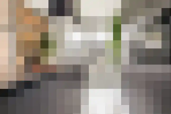 De Spinster 18 Boxtel thumbnail 16
