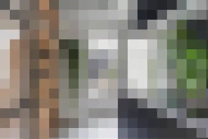De Spinster 18 Boxtel thumbnail 20