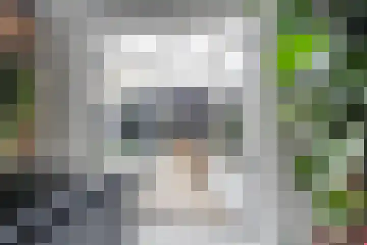 De Spinster 18 Boxtel thumbnail 21