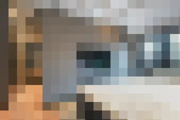 De Spinster 18 Boxtel thumbnail 27