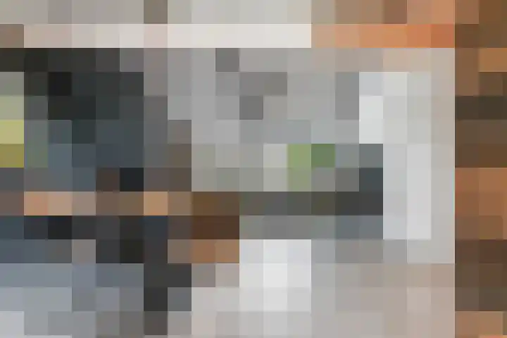 De Spinster 18 Boxtel thumbnail 7