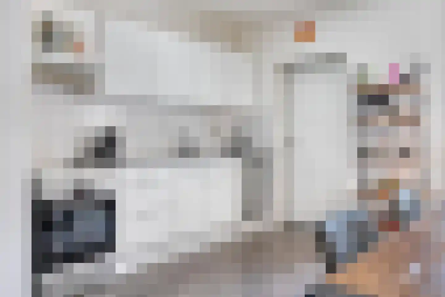 De Spinster 19 Boxtel thumbnail 13
