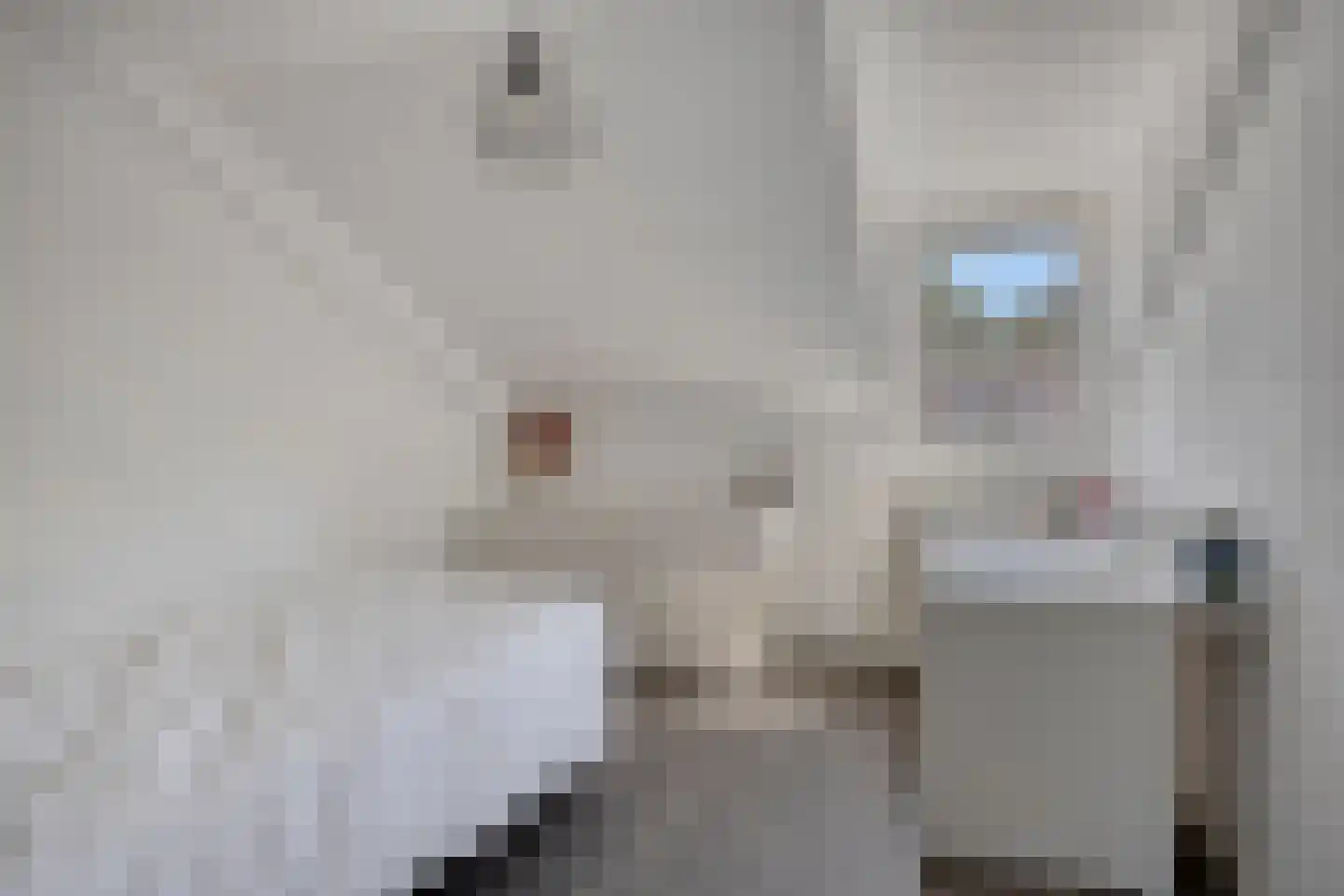 De Spinster 19 Boxtel thumbnail 27