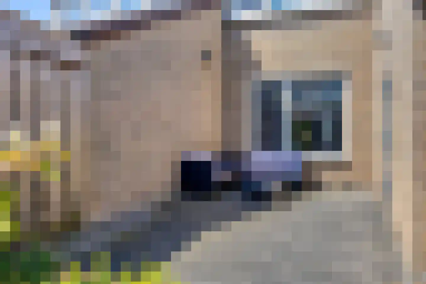 De Spinster 19 Boxtel thumbnail 35