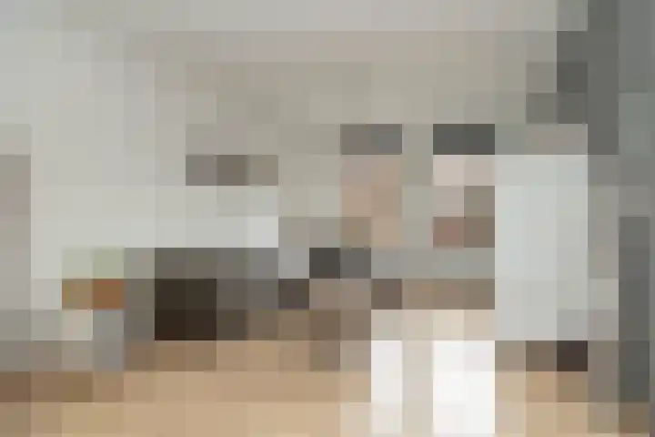 De Spits 4 Hoogeveen thumbnail 11