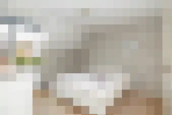 De Spits 4 Hoogeveen thumbnail 25