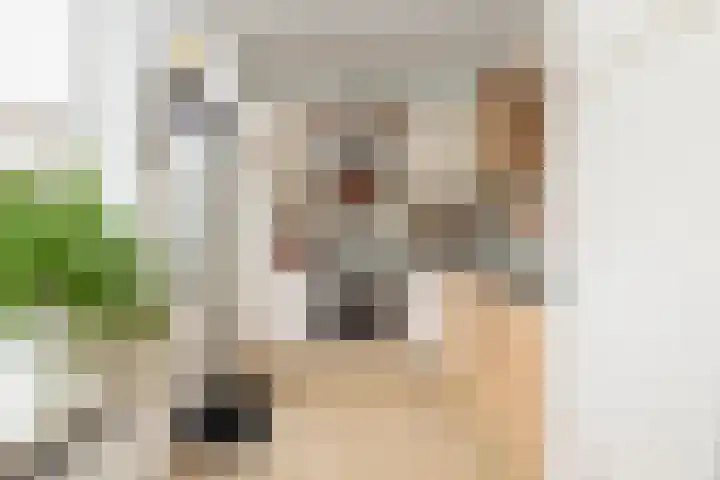 De Spits 4 Hoogeveen thumbnail 4