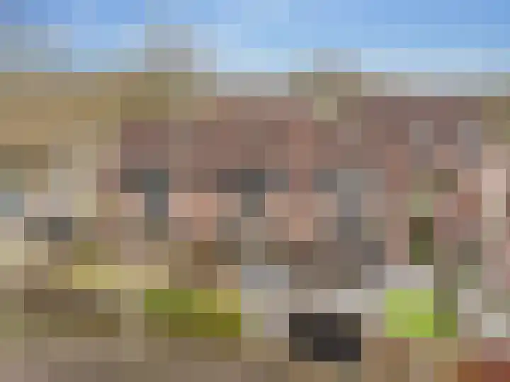 De Spits 4 Hoogeveen thumbnail 40