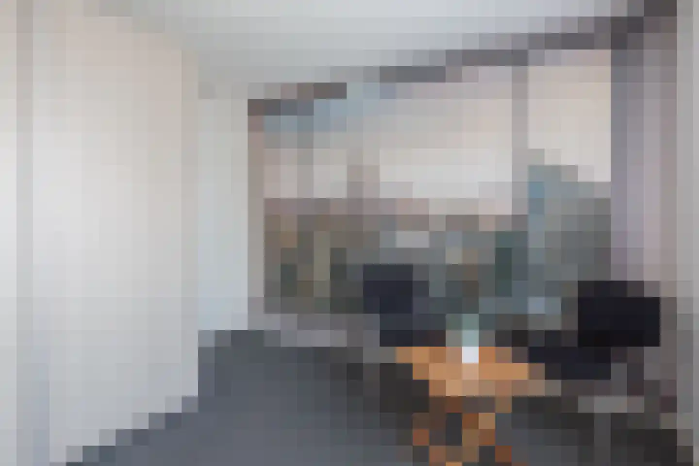 De Splitting 23 Wolvega thumbnail 21