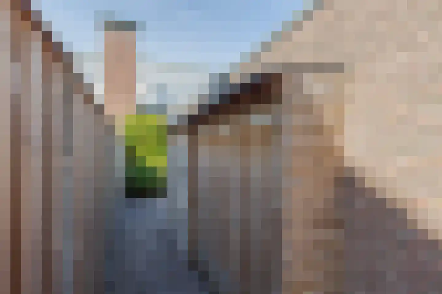 De Splitting 23 Wolvega thumbnail 33