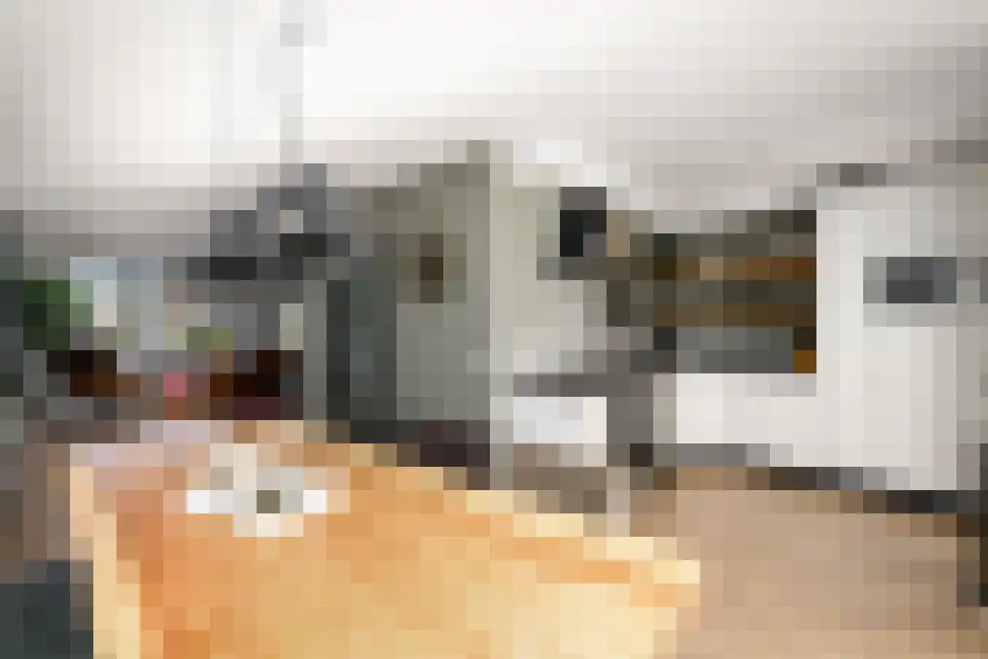 De Splitting 43 Wolvega thumbnail 10