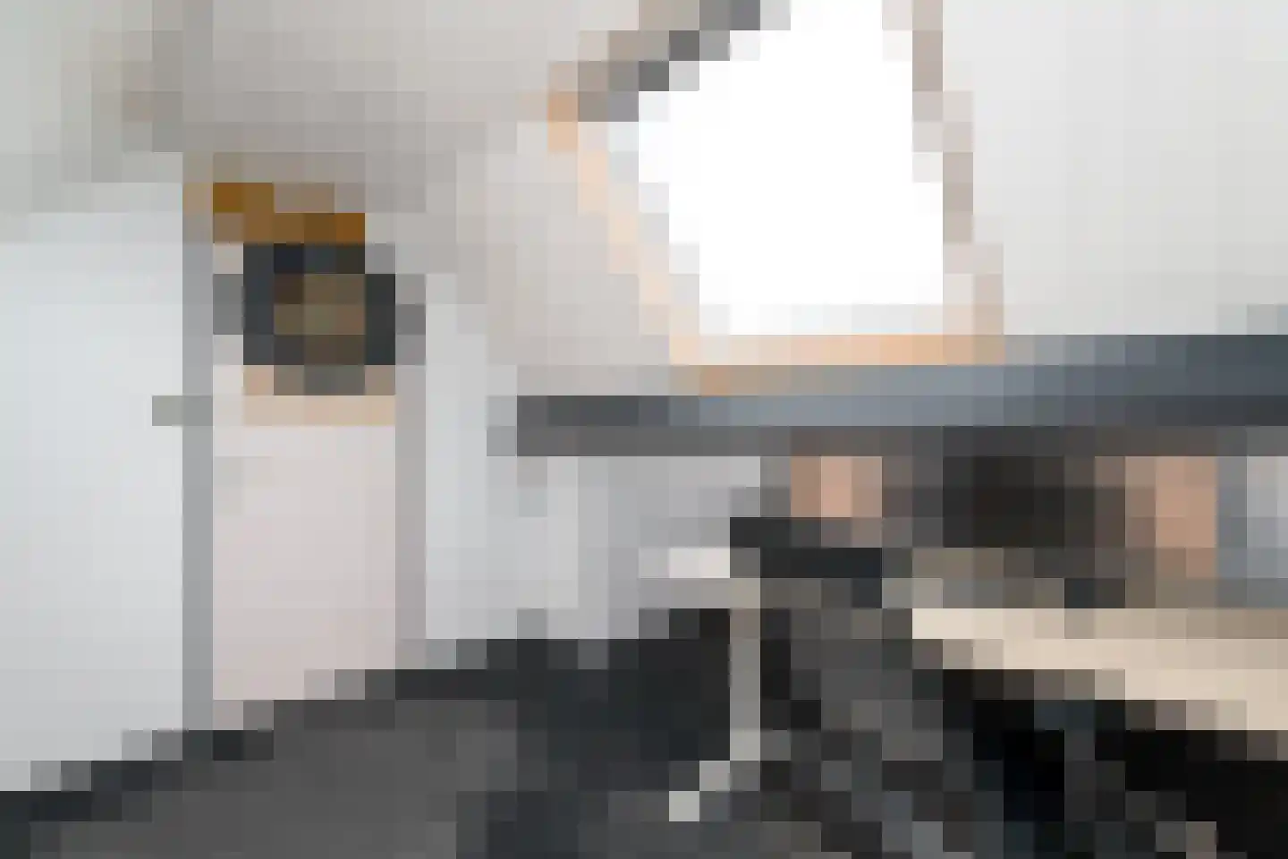 De Splitting 43 Wolvega thumbnail 31