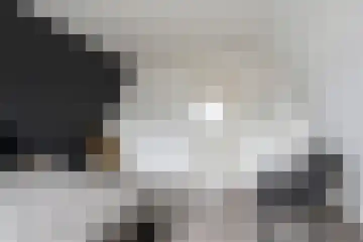 De Splitting 57 Wolvega thumbnail 15