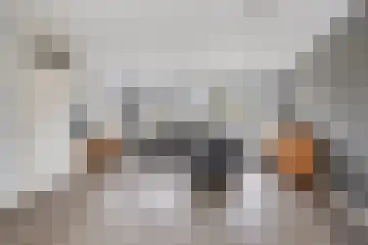 De Splitting 57 Wolvega foto 2