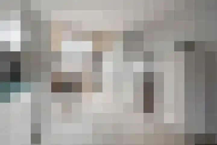 De Splitting 57 Wolvega thumbnail 5