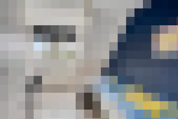 De Splitting 57 Wolvega thumbnail 9