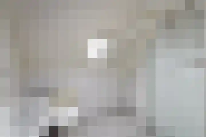 De Splitting 61 Wolvega thumbnail 19