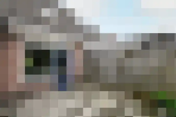 De Splitting 61 Wolvega thumbnail 26