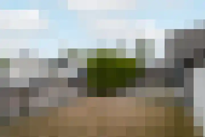 De Splitting 61 Wolvega thumbnail 30