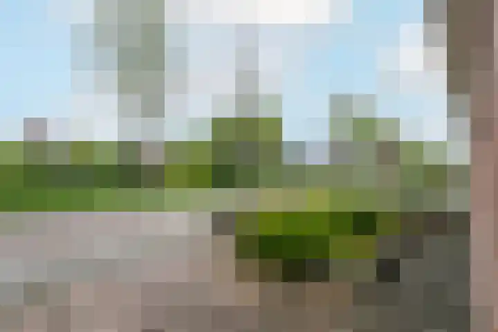 De Splitting 61 Wolvega thumbnail 32