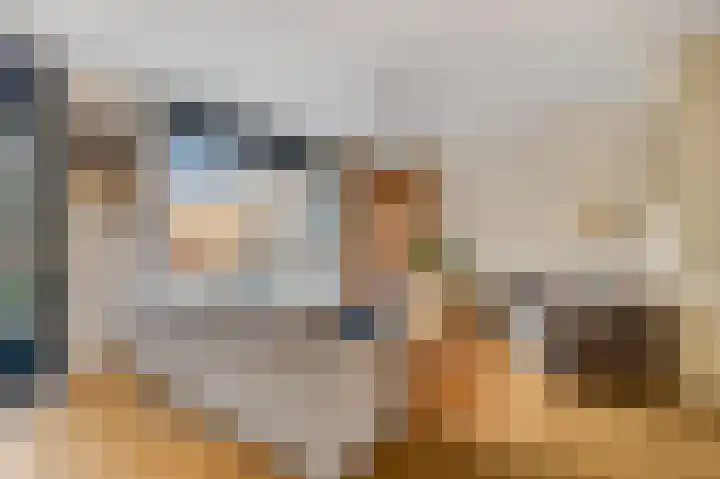 De Spoelerij 17 Tiel thumbnail 11