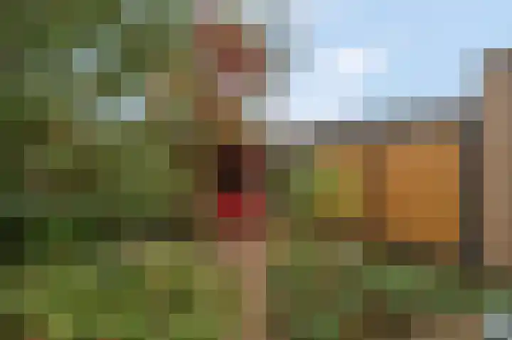 De Spoelerij 17 Tiel thumbnail 13