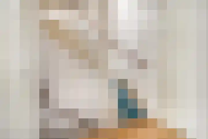 De Spoelerij 17 Tiel thumbnail 28