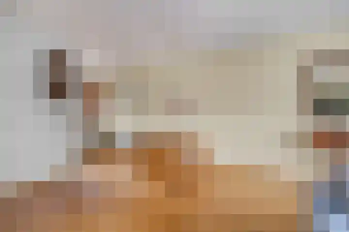 De Spoelerij 17 Tiel thumbnail 8