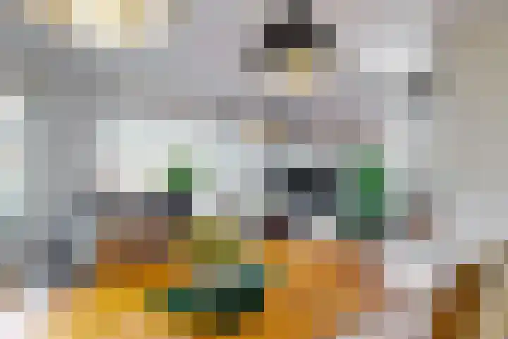 De Spoelerij 2 Tiel thumbnail 11