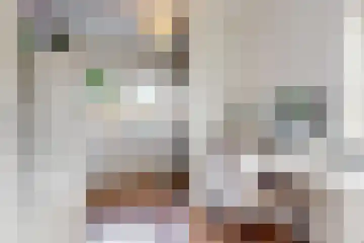 De Spoelerij 2 Tiel thumbnail 14