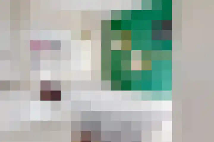 De Spoelerij 2 Tiel thumbnail 16