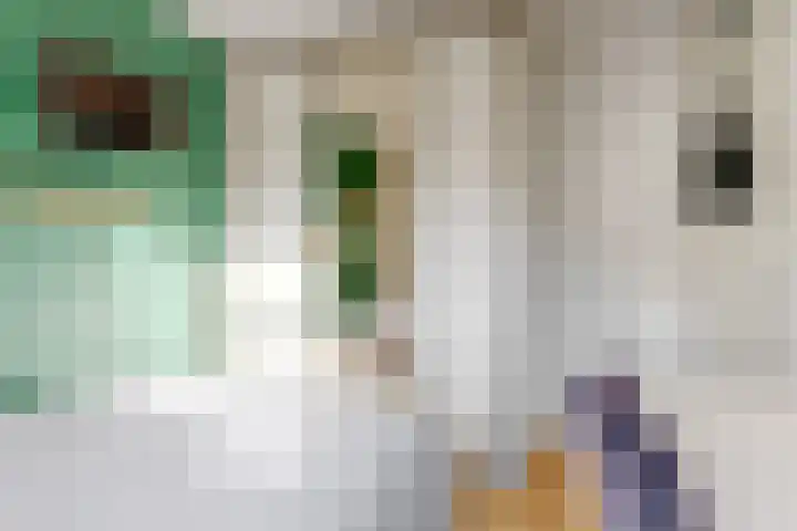 De Spoelerij 2 Tiel thumbnail 17