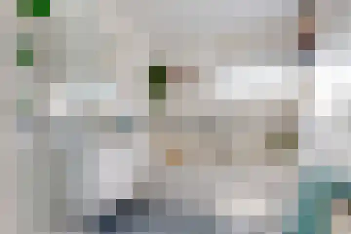 De Spoelerij 2 Tiel thumbnail 18
