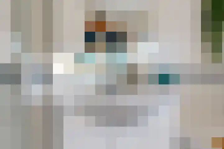 De Spoelerij 2 Tiel thumbnail 19
