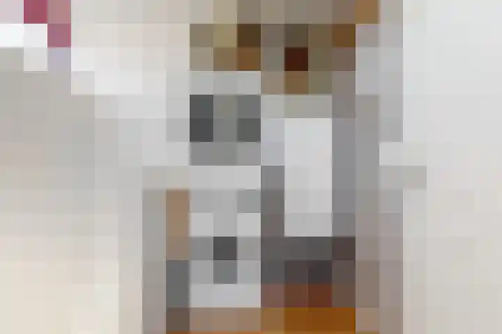 De Spoelerij 2 Tiel thumbnail 21
