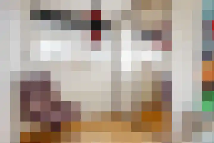 De Spoelerij 2 Tiel thumbnail 23