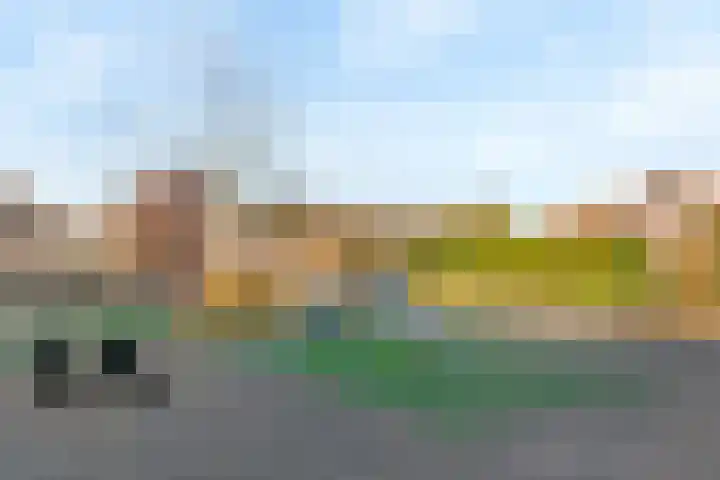 De Spoelerij 2 Tiel thumbnail 33