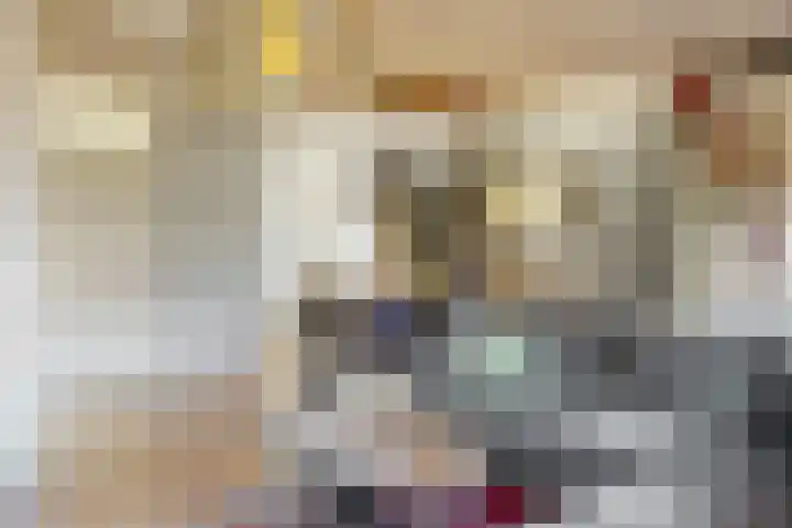 De Spoelerij 2 Tiel thumbnail 5