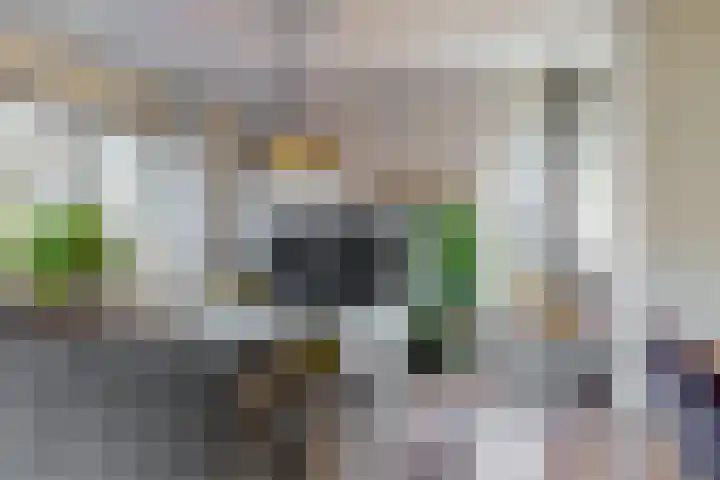 De Spoelerij 2 Tiel thumbnail 6