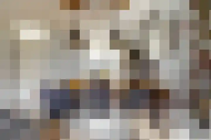 De Spoelerij 2 Tiel thumbnail 7