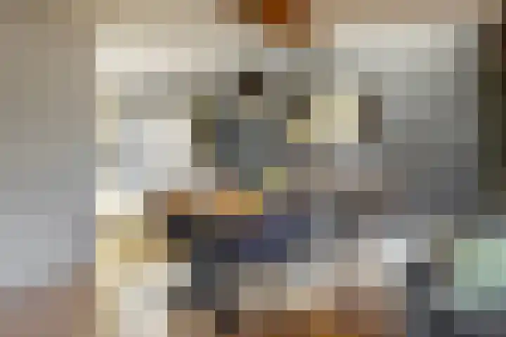 De Spoelerij 2 Tiel thumbnail 8